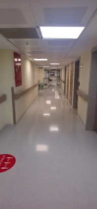 Javier González Lagunas