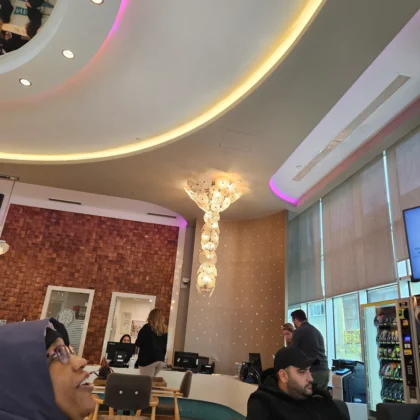 NP Istanbul Brain Hospital