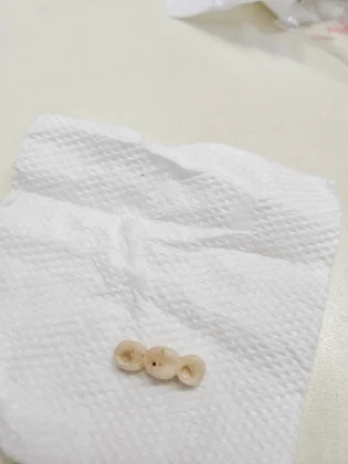 Meryem Ulusoy Meryem Ulusoy