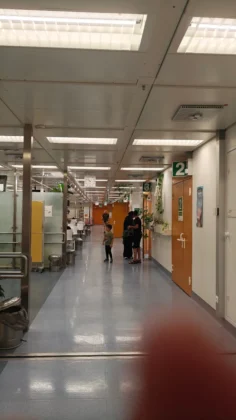 AKH Vienna General Hospital