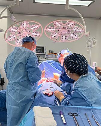 Dr. Rodrigo Araya Plastic Reconstructive Surgery clinic